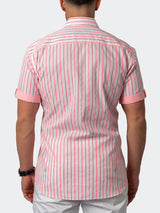 Galileo Fluostripe Pink View-2