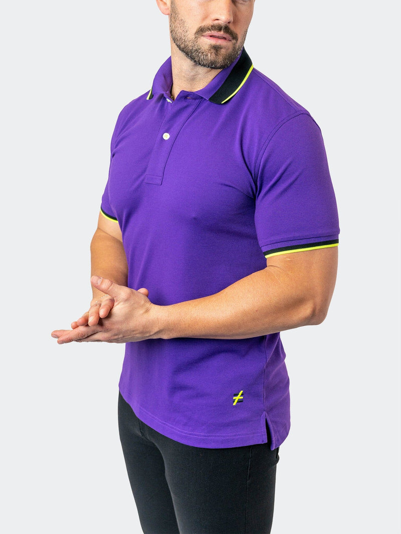 polo TipBerlin purple