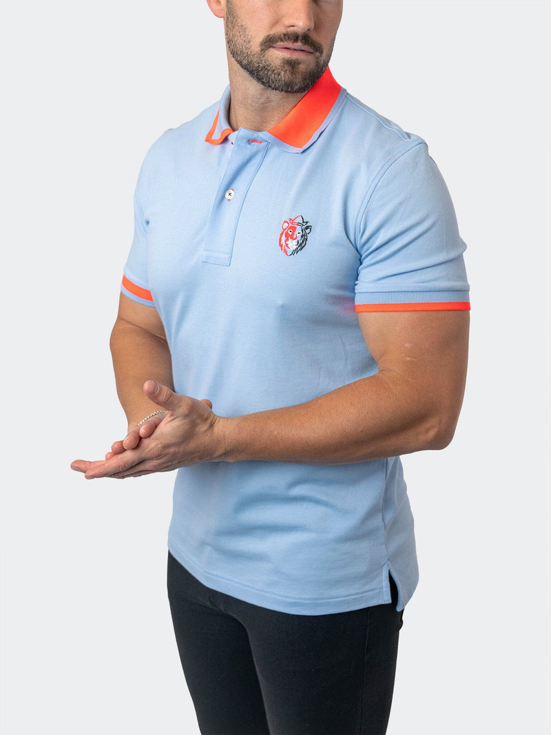 Polo TipDelhi Blue