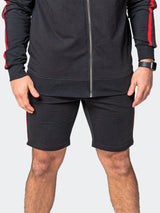 Shorts LionLogo Black View-8