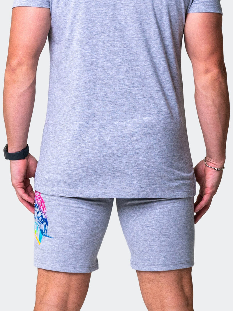 Shorts Neon Grey