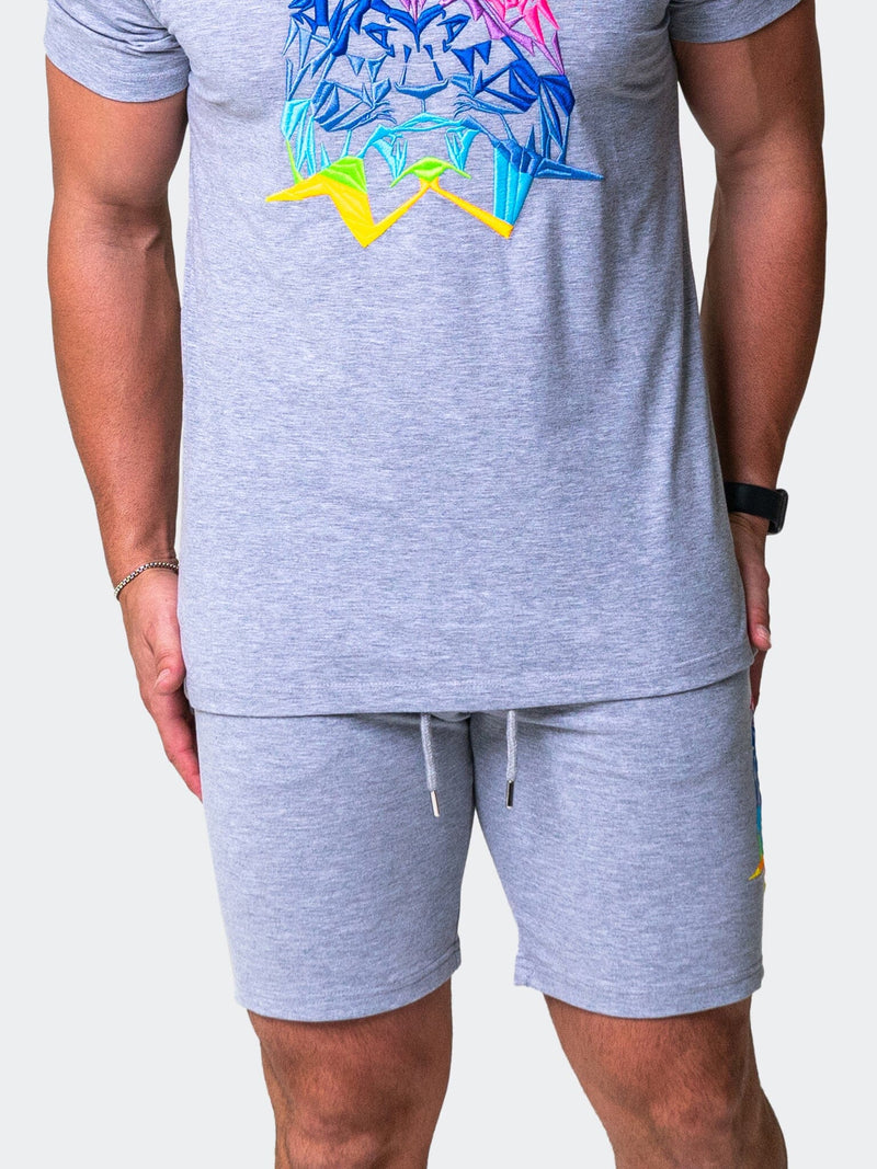 Shorts Neon Grey